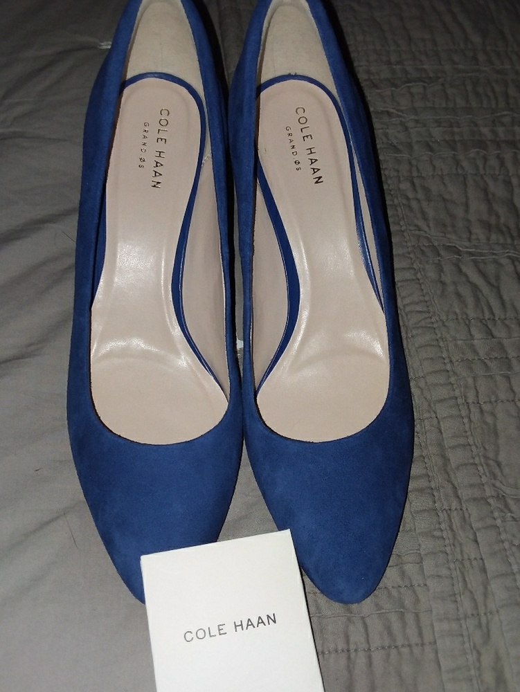 Cole Haan Blue Suede Shoes